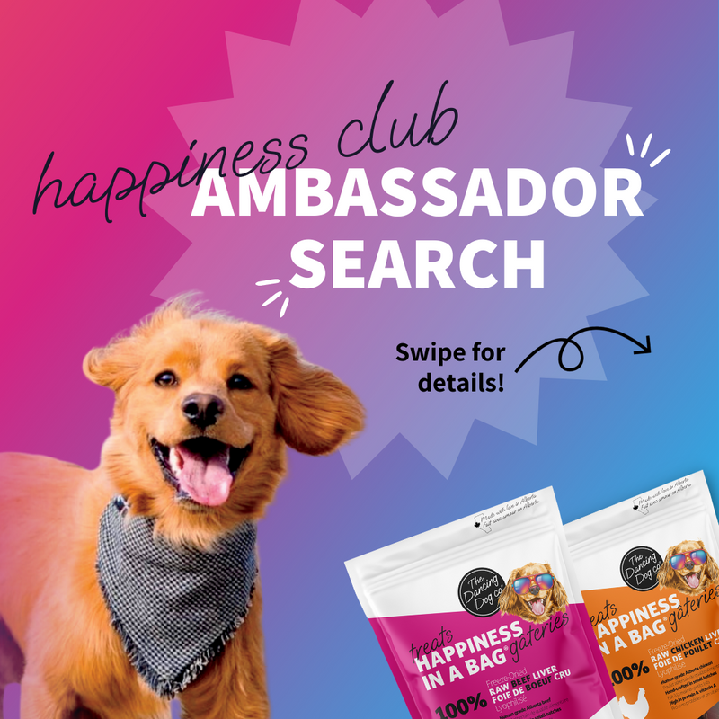 Happiness Club Ambassador Search