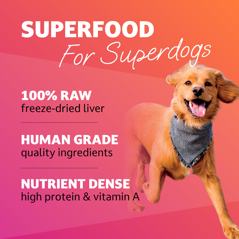 Freeze-Dried Raw Bison Liver Dog Treat